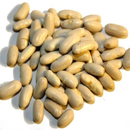 Semilla de habichuela