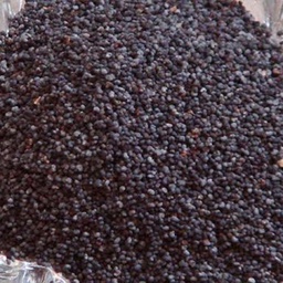 Semilla de pepino (copia)